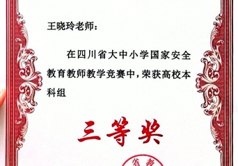 2025年四川省大中小学国家安全教育教师教学竞赛王晓玲