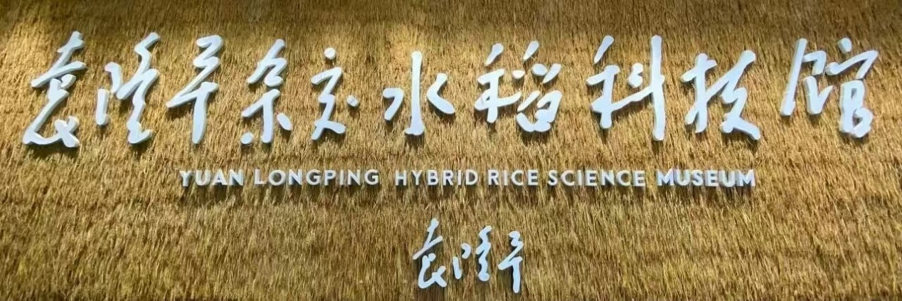 图片1 图片1