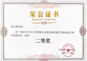 2026年大中小学国家安全教育教师教学竞赛校级比赛二等奖
